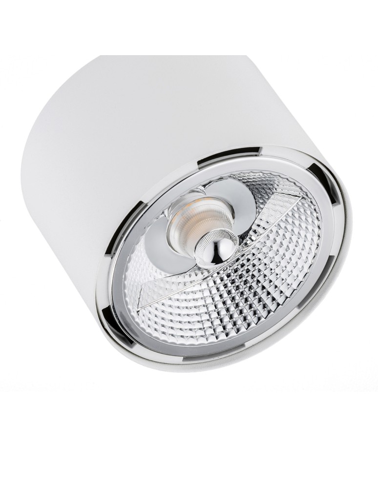 Adjustable ceiling lamps - spots - Argon CLEVLAND plafond 2 fl. 2x12W (max) white structure 1031 BZ - product kolory-swiatla.pl 5