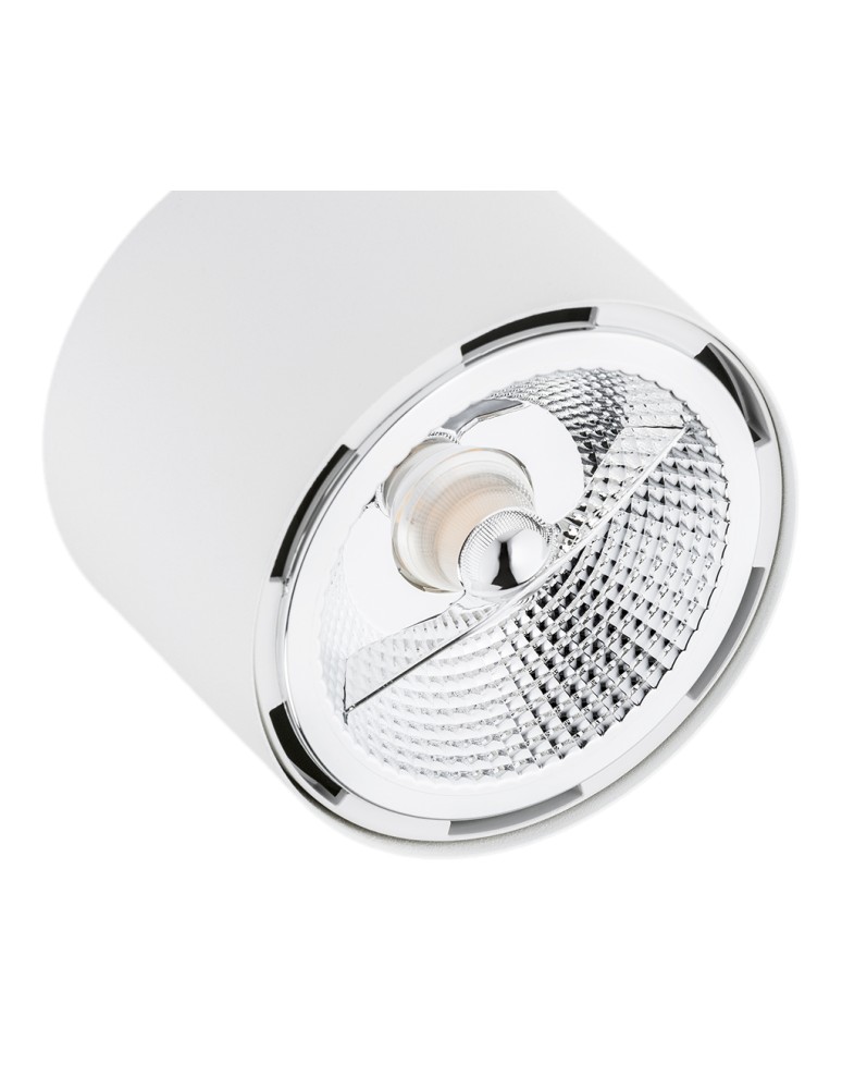 Adjustable ceiling lamps - spots - Argon CLEVLAND plafond 3 fl. 3x12W (max) white structure 6100 BZ - product kolory-swiatla.pl 5