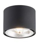 Round ceiling luminaires - Argon CLEVLAND plafond 1 fl. 1x12W (max) black structure 4691 BZ - product 1