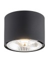Argon CLEVLAND plafon 1 pł. 1x12W (max) czarny struktura 4691 BZ