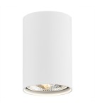 Round ceiling luminaires - Argon TUBO plafond 1 fl. 1x12W (max) white structure 4910 BZ - product 1