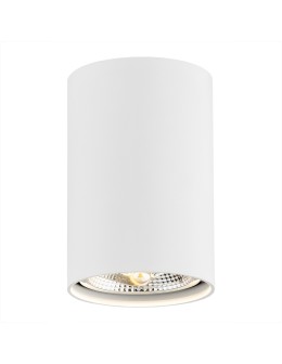 Argon TUBO plafon 1 pł. 1x12W (max) biały struktura 4910 BZ