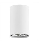 Round ceiling luminaires - Argon TUBO plafond 1 fl. 1x12W (max) white structure 4910 BZ - product 2