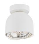 White ceiling fixtures - Argon GARLAND plafond 1 fl. 1x12W (max) white structure 4710 BZ - product 1