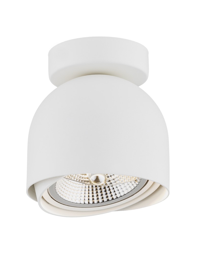 White ceiling fixtures - Argon GARLAND plafond 1 fl. 1x12W (max) white structure 4710 BZ - product kolory-swiatla.pl 1