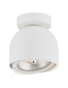 Argon GARLAND plafond 1 fl. 1x12W (max) white structure 4710 BZ