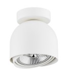 White ceiling fixtures - Argon GARLAND plafond 1 fl. 1x12W (max) white structure 4710 BZ - product 2