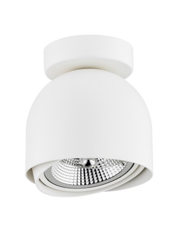 Argon GARLAND plafond 1 fl. 1x12W (max) white structure 4710 BZ - product 2