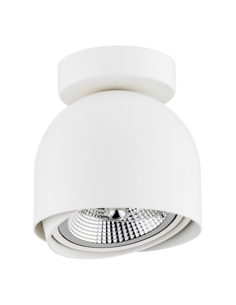 White ceiling fixtures - Argon GARLAND plafond 1 fl. 1x12W (max) white structure 4710 BZ - product kolory-swiatla.pl 2
