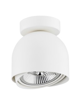 Argon GARLAND plafon 1 pł. 1x12W (max) biały struktura 4710 BZ - produkt 2
