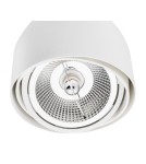 White ceiling fixtures - Argon GARLAND plafond 1 fl. 1x12W (max) white structure 4710 BZ - product 3