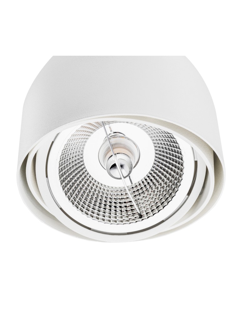 White ceiling fixtures - Argon GARLAND plafond 1 fl. 1x12W (max) white structure 4710 BZ - product kolory-swiatla.pl 3