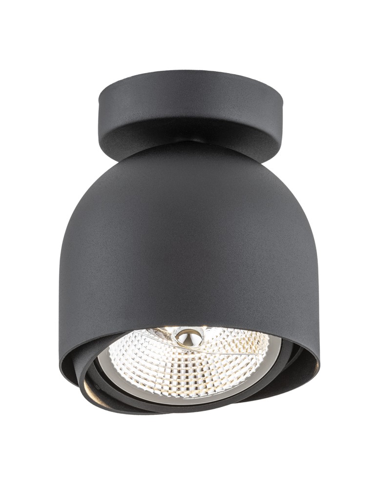 Argon GARLAND plafon 1 pł. 1x12W (max) czarny struktura 4711 BZ