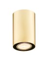 Argon TYBER PLUS plafond 1 fl. 1x5W (max) brass 4759