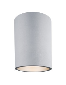 Argon TYBER plafon 1 pł. okrągły 1x15W (max) srebrny struktura 473