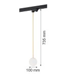Lamps for 3-phase busbars - Argon BANG pendant 1 pł. 1x6W (max) opal mat brass 4308 - product 3