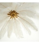 Designer pendant lamps -  Step Into Design pendant lamp EMU feather white 100 cm ST-DN127 white - product 7