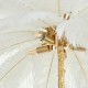  Step Into Design Lampa wisząca EMU pióra białe 100 cm ST-DN127 white