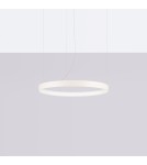Pendant lamps circles - Thoro Chandelier RIO 55 beige LED 3000K TH.351 - product 2
