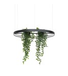 Designer pendant lamps - Thoro Chandelier RIO BIO 78 black LED 3000K TH.551 - product 1