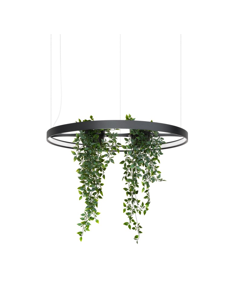 Designer pendant lamps - Thoro Chandelier RIO BIO 78 black LED 3000K TH.551 - product kolory-swiatla.pl 1