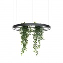 Thoro Żyrandol RIO BIO 78 czarny LED 3000K TH.551