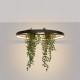 Thoro Żyrandol RIO BIO 78 czarny LED 3000K TH.551
