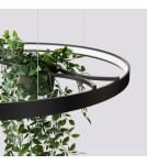 Designer pendant lamps - Thoro Chandelier RIO BIO 78 black LED 3000K TH.551 - product 5