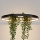 Thoro Żyrandol RIO BIO 78 czarny LED 3000K TH.551