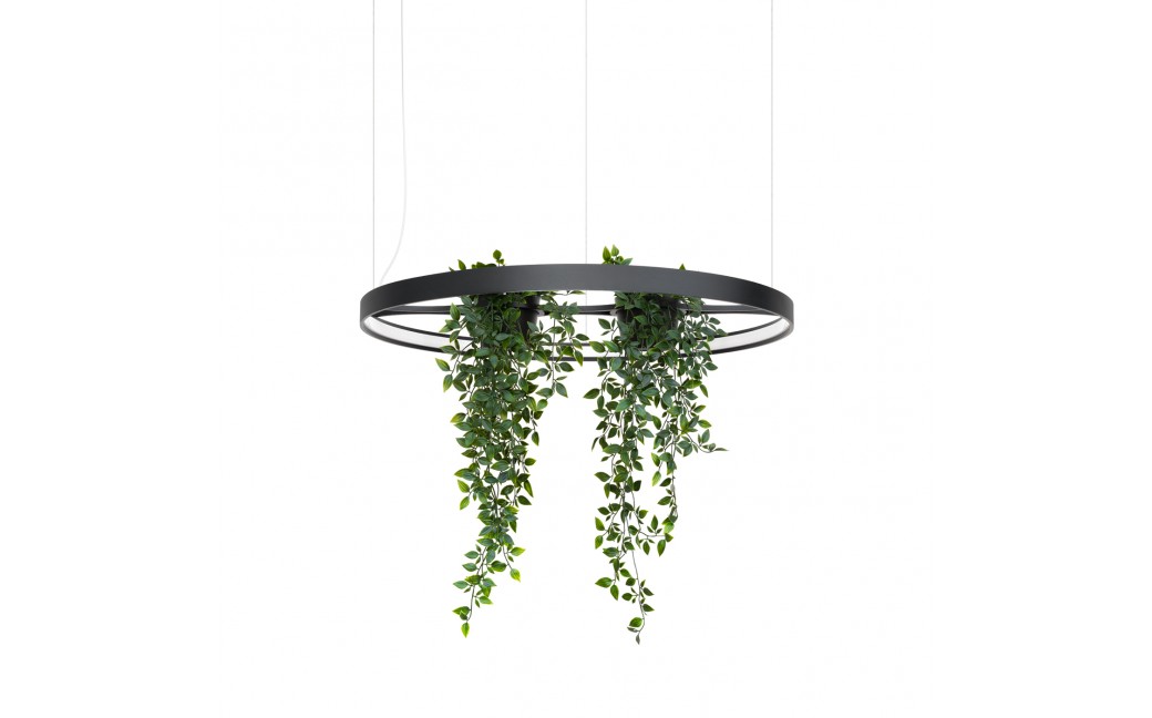 Thoro Żyrandol RIO BIO 78 czarny LED 4000K TH.552