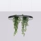 Thoro Żyrandol RIO BIO 78 czarny LED 4000K TH.552