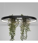 Designer pendant lamps - Thoro Chandelier RIO BIO 78 black LED 4000K TH.552 - product 9