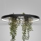 Thoro Żyrandol RIO BIO 78 czarny LED 4000K TH.552