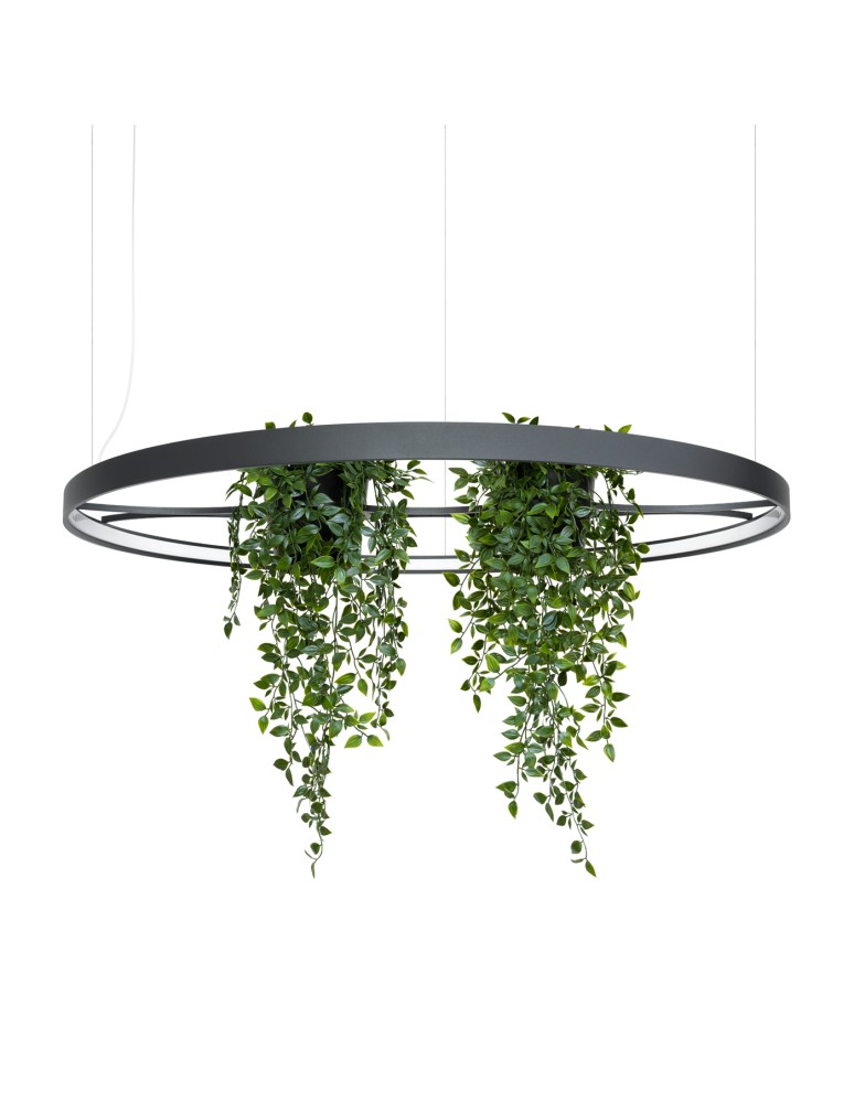 Designer pendant lamps - Thoro Chandelier RIO BIO 110 black LED 4000K TH.556 - product kolory-swiatla.pl 1
