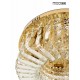 MOOSEE lampa sufitowa / plafon BALUNA 80 złota (MSE1501100533)