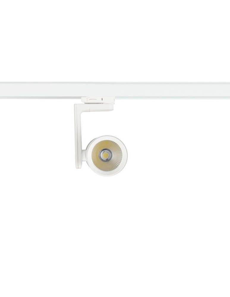 Lamps for 3-phase busbars - Milagro Spotlight Timor 30W 2700/4000K White 3 Circuit ML1116 - product kolory-swiatla.pl 1
