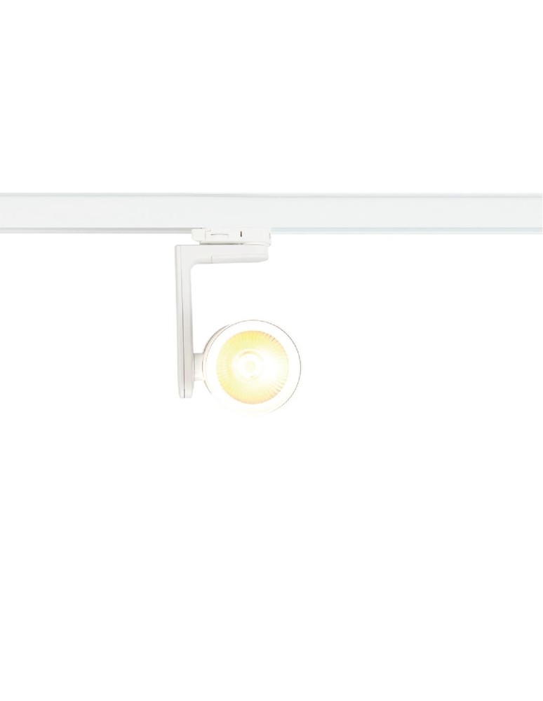 Lamps for 3-phase busbars - Milagro Spotlight Timor 30W 2700/4000K White 3 Circuit ML1116 - product kolory-swiatla.pl 2