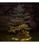 Solar lamps - Eko-Light Solar Pot Lamp 3000K IP44 EKO1449. - product 5