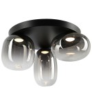 Scandinavian style ceiling lamps - Milagro VASO SMOKED 12W ceiling lamp ML1412 - product 2