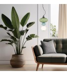 Single pendant lamps - Milagro ASCOLI 8W LED pendant lamp ML1419 - product 3