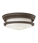 Classic ceiling lamps - Quintiesse Plafond Hadrian - 2 light sources - Oiled bronze IP44 Elstead Lighting QN-HADRIAN-FS-OZ-OPAL - product 1