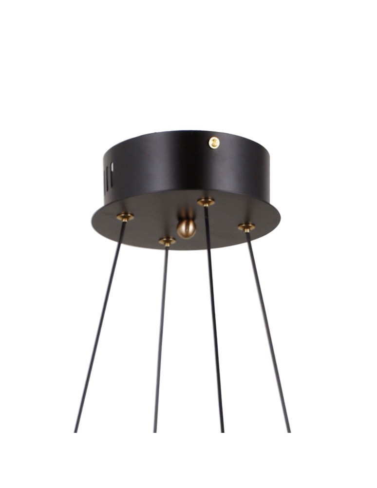 LED pendant lamps - ITALUX Alani Pendant 4xLED 24W 3000K Matte black, gold PND-34375-4-BK - product kolory-swiatla.pl 4