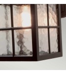 Outdoor wall lamps - Elstead Lighting Winchester wall lantern - 1 light source IP23 BL19-BLACK - product 5