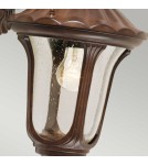 Elstead Lighting Mała latarnia naścienna Chicago - 1 źródło światła - Rdzawa brązowa patyna IP44 CC2-S