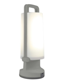 Lutec DRAGONFLY Zewnętrzna LED Srebrnoszary 6904101337