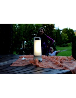 Lutec DRAGONFLY Outdoor LED Silver Grey 6904101337 - product 2