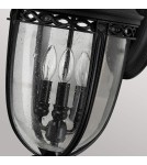 Outdoor wall lamps - Elstead Lighting Large English Bridle wall lantern - 3 light sources - Black IP44 FE-EB2-L-BLK - product 3