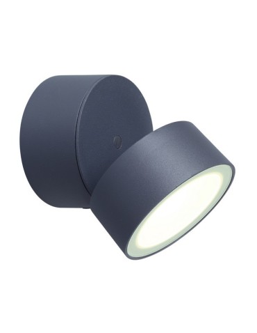 Lutec TRUMPET LED Ceiling Anthracite 5626001118