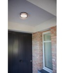 Outdoor wall lamps - Lutec ROLA LED ceiling grey 6382201118 - product 3