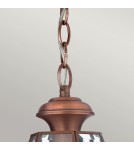 Outdoor pendant lamps - Elstead Lighting Newbury medium pendant lantern - 1 light source - Lacquered aged copper IP23 QZ-NEWBURY8-M-A - product 2